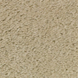 Designer Plus Ultra Premium Trade Show Carpet