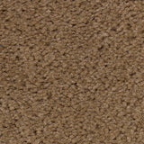 Designer Plus Ultra Premium Trade Show Carpet