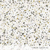 Granite Terrazzo (P1705)